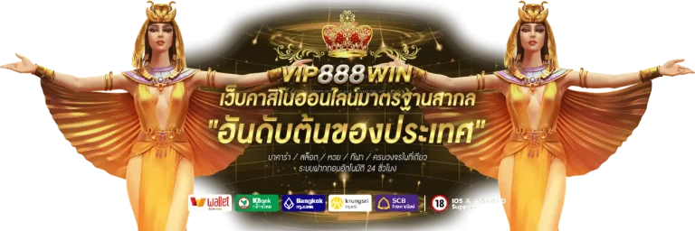 vip888win